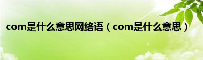 com是什么意思網(wǎng)絡(luò)語（com是什么意思）