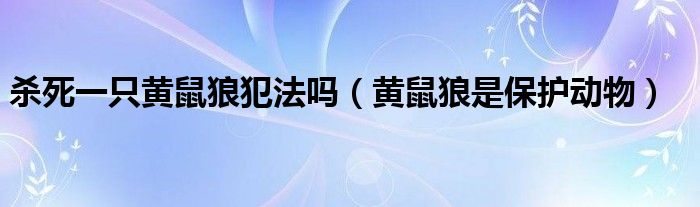 殺死一只黃鼠狼犯法嗎（黃鼠狼是保護(hù)動(dòng)物）