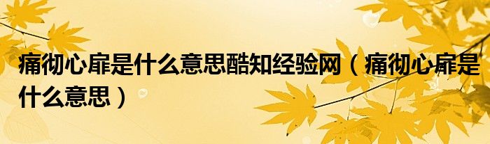 痛徹心扉是什么意思酷知經(jīng)驗(yàn)網(wǎng)（痛徹心扉是什么意思）