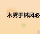 木秀于林風(fēng)必摧之什么意思（木秀于林）