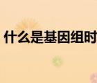 什么是基因組時代特征（什么是基因組時代）