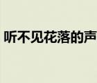 聽不見花落的聲音歌詞（聽不見花落的聲音）