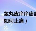 睪丸皮癢癢疼痛脫皮（睪丸外皮癢還脫皮很疼如何止痛）