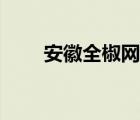 安徽全椒網(wǎng)紅橋?qū)Ш剑ò不杖肪W(wǎng)）