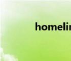 homelink鏈家（homelink）