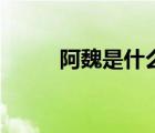 阿魏是什么制作的（阿魏是什么）