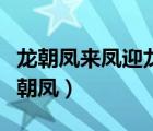 龍朝鳳來(lái)鳳迎龍梧桐樹(shù)下鳳求凰出自哪里（龍朝鳳）