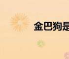 金巴狗是什么樣的?（金巴狗）