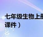 七年級(jí)生物上冊(cè)課件冀教版（七年級(jí)生物上冊(cè)課件）