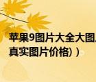 蘋果9圖片大全大圖片欣賞（蘋果9手機(jī)真實圖片(蘋果9手機(jī)真實圖片價格)）