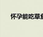 懷孕能吃草魚不（懷孕可以吃草魚嗎）