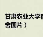 甘肅農(nóng)業(yè)大學(xué)宿舍圖片真實(shí)（甘肅農(nóng)業(yè)大學(xué)宿舍圖片）