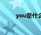 you是什么意思（yc是什么意思）