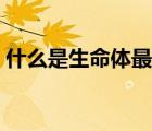 什么是生命體最基本的特征（什么是生命體）