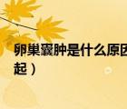 卵巢囊腫是什么原因引起能治好嗎（卵巢囊腫是什么原因引起）