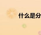 什么是分?jǐn)?shù)（什么是分?jǐn)?shù)單位）