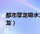 都市孽龍吸水龍昊天txt未刪節(jié)下載（都市孽龍）
