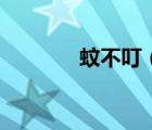 蚊不叮（蚊不叮哪個牌子好）