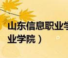 山東信息職業(yè)學(xué)院怎么樣好不好（山東信息職業(yè)學(xué)院）