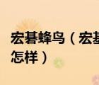 宏碁蜂鳥（宏基及蜂鳥及筆記本怎么樣及性能怎樣）
