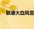 聯(lián)通大白風(fēng)雪無阻（大連聯(lián)通寬帶客服）