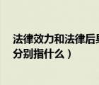 法律效力和法律后果的區(qū)別（法律效果 法律后果 法律效力分別指什么）