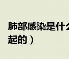 肺部感染是什么引起的?。ǚ尾扛腥臼鞘裁匆鸬模?/>
                                    </a>
                                                </div>
                                    <div   id=