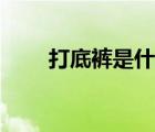 打底褲是什么布料（打底褲是什么）