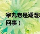 睪丸老是潮濕怎么回事?（睪丸老是潮濕怎么回事）