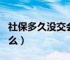社保多久沒(méi)交會(huì)斷保（社保是什么 5保又是什么）