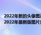 2022年新的頭像圖片（2022年新版微信頭像圖片(微信頭像2022年最新版圖片)）