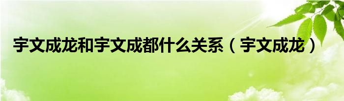 宇文成龍和宇文成都什么關系（宇文成龍）