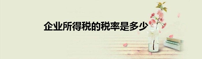 企業(yè)所得稅的稅率是多少