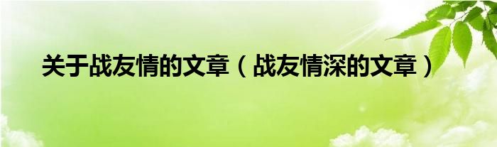 關(guān)于戰(zhàn)友情的文章（戰(zhàn)友情深的文章）