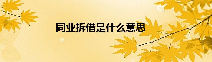 同業(yè)拆借是什么意思