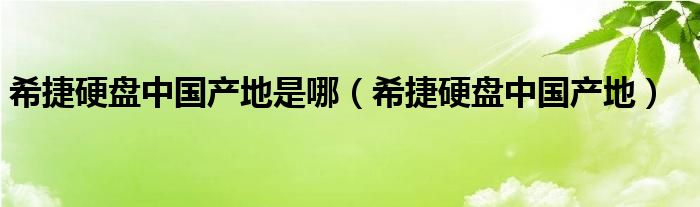 希捷硬盤中國(guó)產(chǎn)地是哪（希捷硬盤中國(guó)產(chǎn)地）