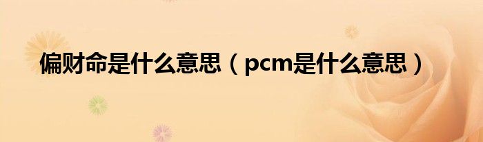 偏財命是什么意思（pcm是什么意思）