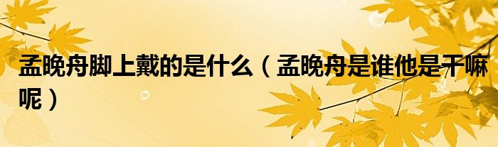 孟晚舟腳上戴的是什么（孟晚舟是誰他是干嘛呢）
