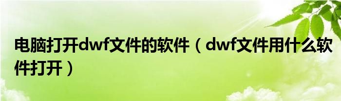 電腦打開dwf文件的軟件（dwf文件用什么軟件打開）