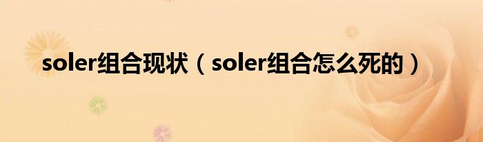 soler組合現(xiàn)狀（soler組合怎么死的）