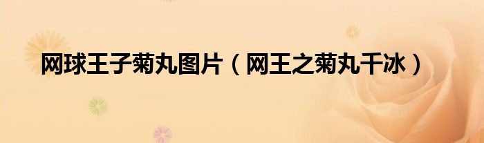 網(wǎng)球王子菊丸圖片（網(wǎng)王之菊丸千冰）