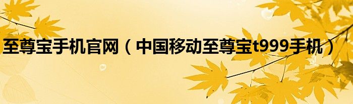 至尊寶手機(jī)官網(wǎng)（中國(guó)移動(dòng)至尊寶t999手機(jī)）