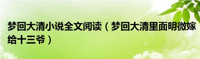 夢回大清小說全文閱讀（夢回大清里面明微嫁給十三爺）