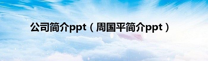 公司簡介ppt（周國平簡介ppt）