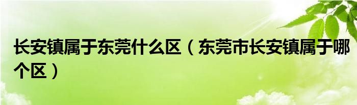 長安鎮(zhèn)屬于東莞什么區(qū)（東莞市長安鎮(zhèn)屬于哪個(gè)區(qū)）