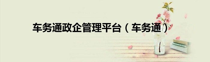 車務(wù)通政企管理平臺（車務(wù)通）