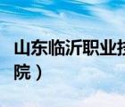 山東臨沂職業(yè)技術(shù)學(xué)院（山東萊蕪職業(yè)技術(shù)學(xué)院）