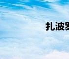 扎波羅熱核電站（扎波）