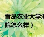 青島農(nóng)業(yè)大學(xué)海都食堂（青島農(nóng)業(yè)大學(xué)海都學(xué)院怎么樣）
