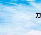 刀旗尺寸（刀旗）